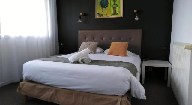 Двухместный номер Superior Hotel Maison Forge - Ex Hotel ASTORIA- Saint Etienne-Centre des Congrès