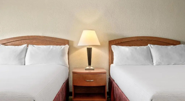 Четырёхместный номер Standard Golden Sails Hotel