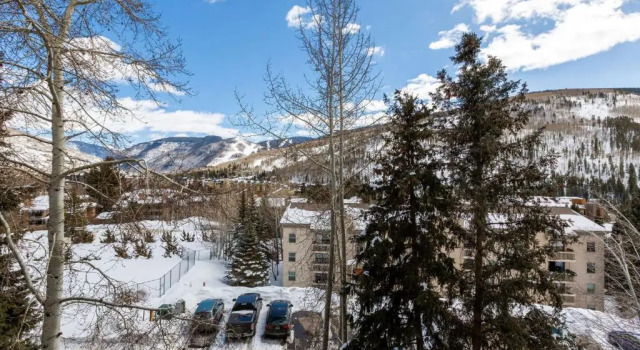 Апартаменты Homestake Condos