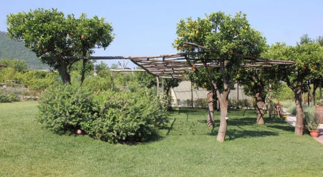 Camera doppia Standard con vista sul giardino Terra e Cielo