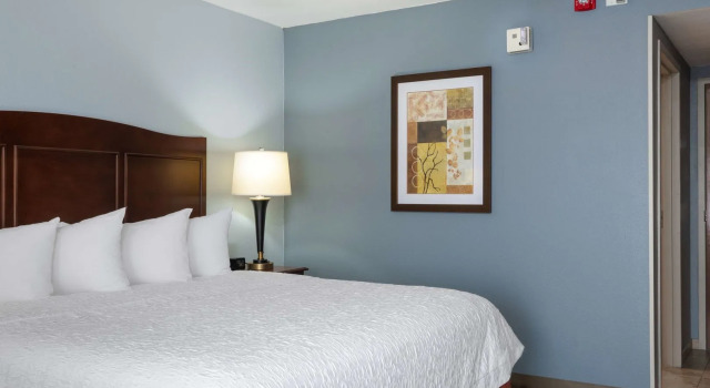 Hampton Inn Denver-International Airport