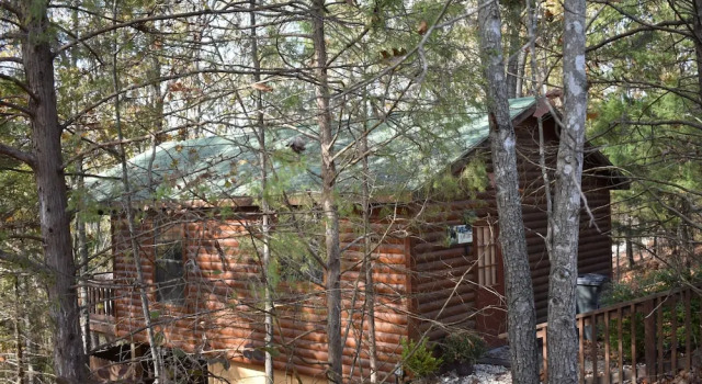 Коттедж Bear Creek Lodge Cabin Resort