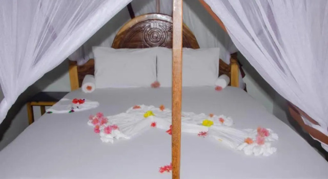 Summer Dream Lodge