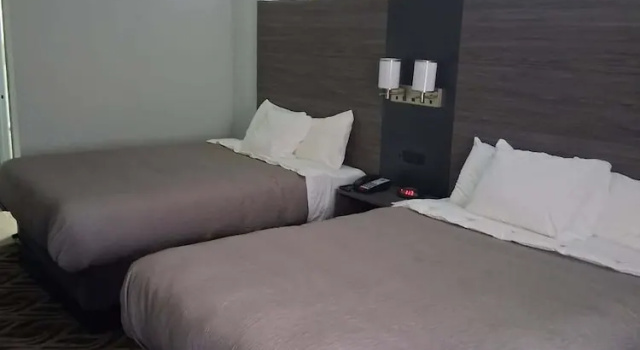 Четырёхместный номер Standard Quality Inn