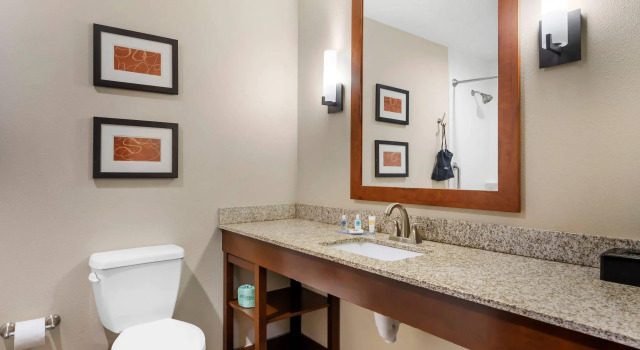 Четырёхместный люкс Comfort Suites West Omaha