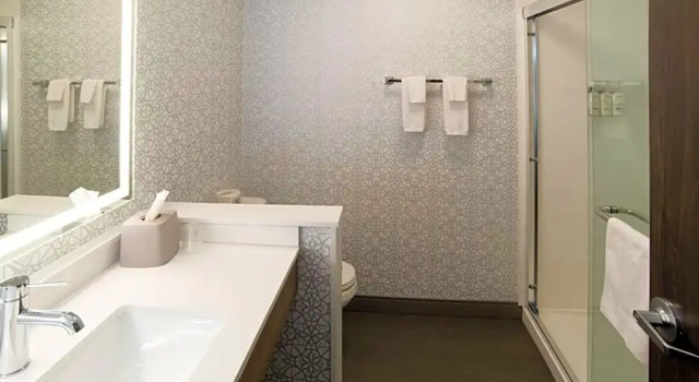 Двухместный люкс c 1 комнатой Holiday Inn Express and Suites Moose Jaw by IHG
