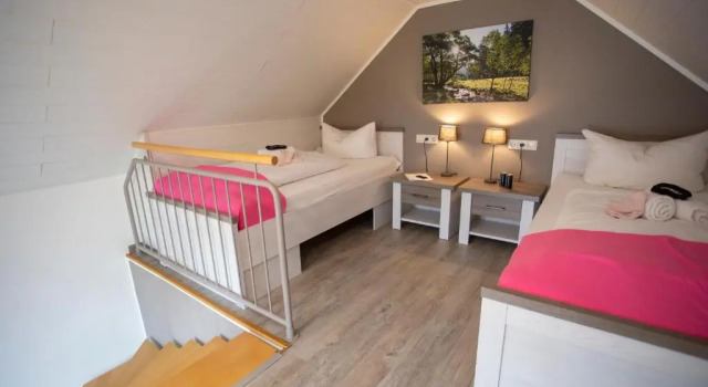 Люкс Дуплекс Das Loft Hotel Willingen