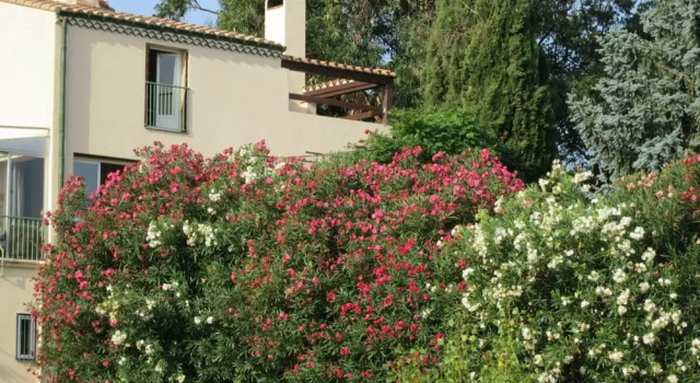 Mas Élunia, Book Hotel Hotels in Vermillion Coast with Parking, Parking