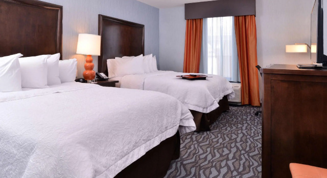 Четырёхместный номер Standard Hampton Inn Potsdam