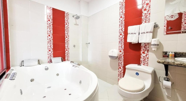 Люкс Hotel Beijing Caucasia