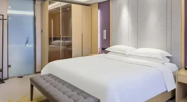 Люкс Deluxe Harbin Xincheng Hotel