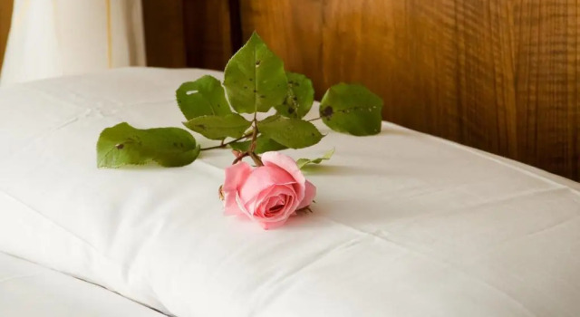 Двухместный номер Standard Hotel Rosa Resort