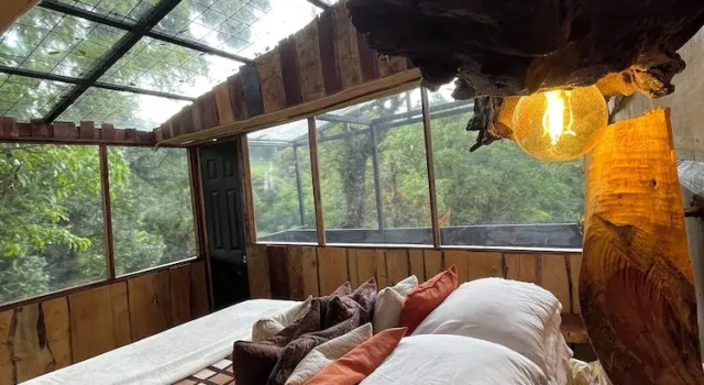 Номер Standard Poas Volcano Observatory Lodge & Glamping