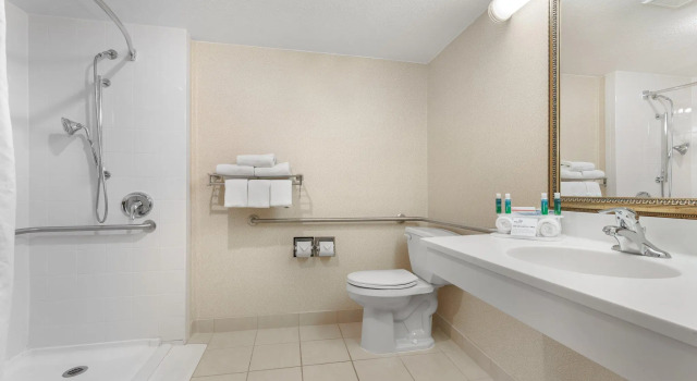 Двухместный люкс Holiday Inn Express Chicago-Downers Grove by IHG
