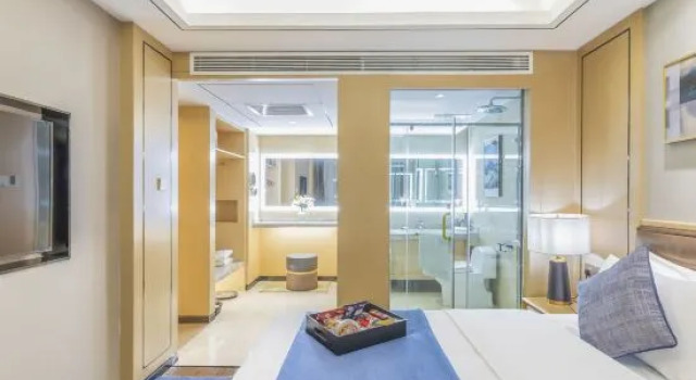 Люкс Business Yun-Ray Ambassador Hotel