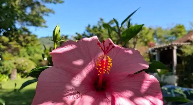 cabañas de Apaneca, Забронировать Отель Апанека Ruta de las Flores