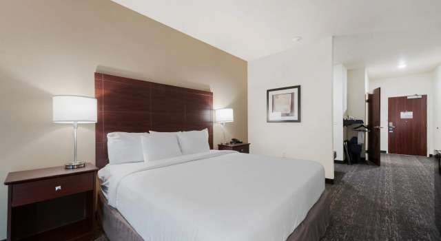 Двухместный люкс Cobblestone Hotel & Suites - Urbana