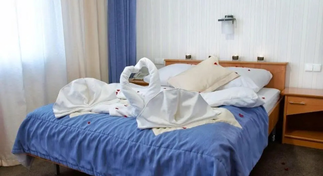 Двухместный номер Standard Vistula Hotel