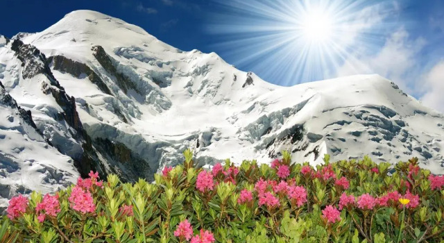 Апартаменты с видом на горы Chamonix Sud - Forclaz 504