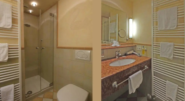 Одноместный номер Comfort Hotel zum Schwanen Ziefle