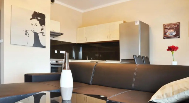 Апартаменты c 1 комнатой с балконом Rezidence Moser Apartments