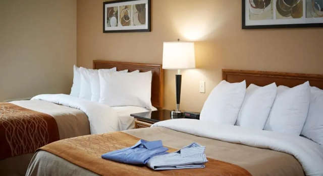 Четырёхместный номер Deluxe Comfort Inn