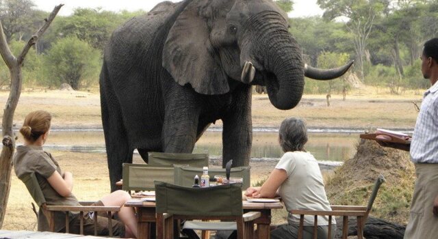The Hide Safari Camp, Prenota Hotel Parco nazionale Hwange Zimbabwe