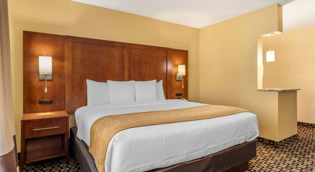 Двухместный номер Standard Comfort Inn & Suites Athens North