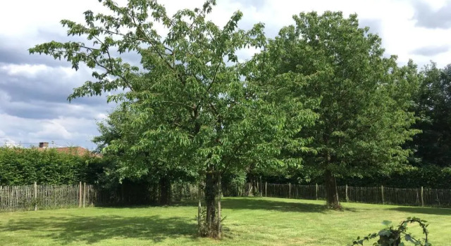 Appartamento Luxury Neerhof