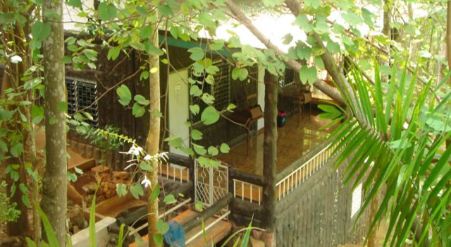 Sam's Jungle Guesthouse
