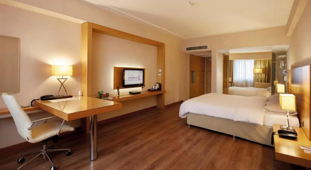 Двухместный номер Deluxe Anemon Grand Konya Otel