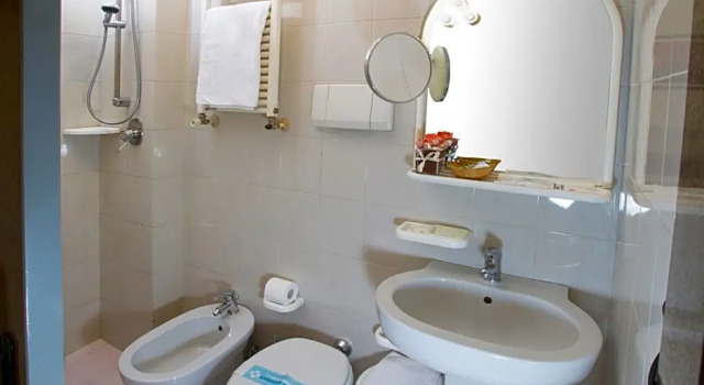 Номер Economy Hotel Garibaldi