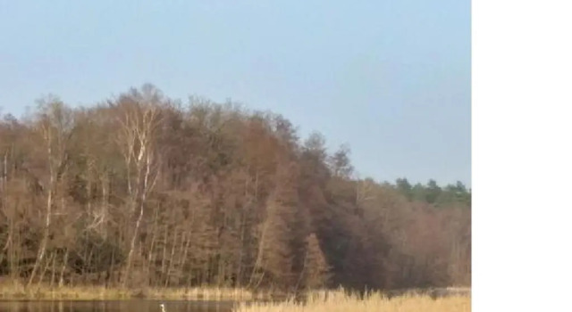 Номер Standard Pension & Gasthaus Kattenstieg