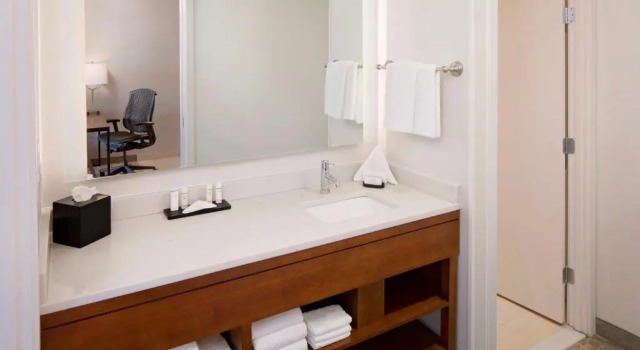 Двухместный люкс Embassy Suites by Hilton Boston Marlborough