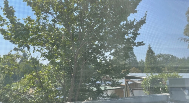 Двухместный номер Standard McCully House Inn