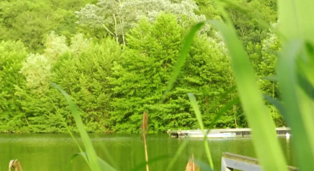 Апартаменты Gîte les Platanes