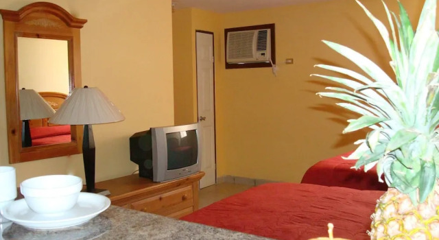 Четырёхместный номер Standard Aparthotel - El Ejecutivo