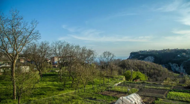 Апартаменты Da Zia Adele