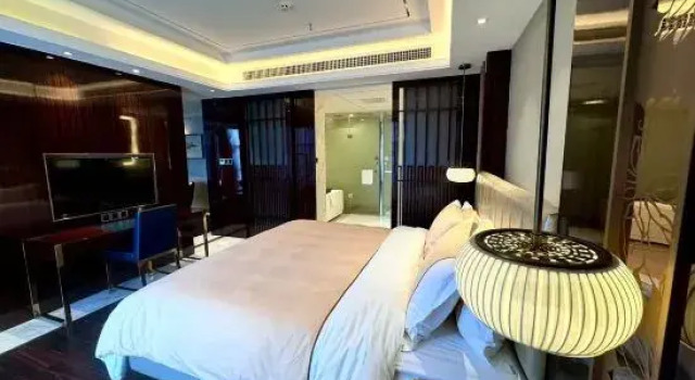 Люкс Aiport Apartment-stlye Hotel