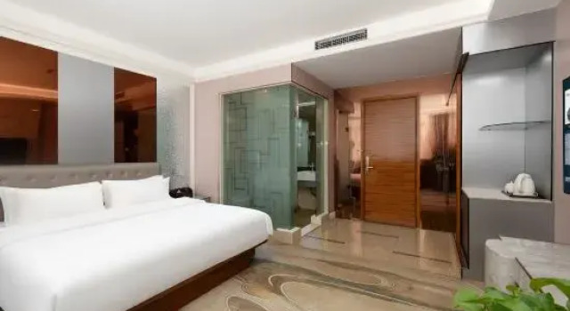Люкс Business c 1 комнатой Reghol Commerce Hotel