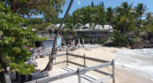 Grand studio de 41 m², vue mer et jardin tropical.
