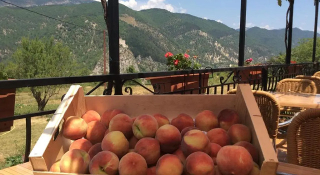 Апартаменты Appartement Clôt de Félines