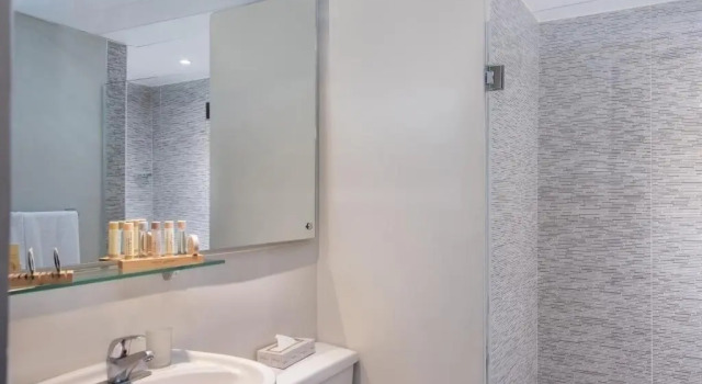 Двухместный номер Executive Hodelpa Caribe Colonial