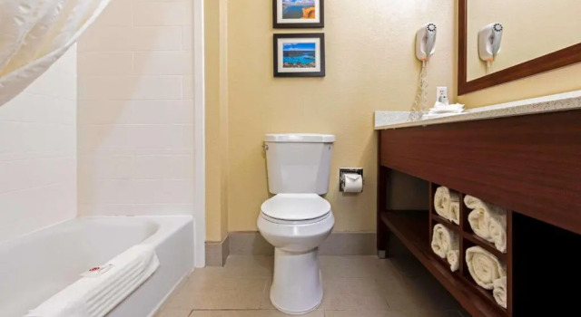 Номер Standard Comfort Suites University