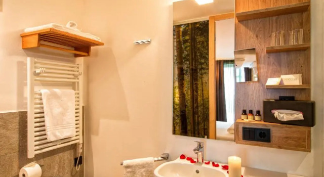 Номер Standard Mountain Design Hotel Eden Selva