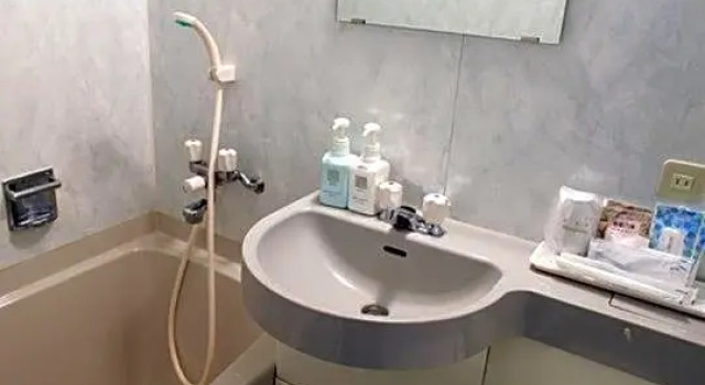 Номер Standard Hotel Housen Soka
