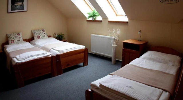 Трёхместный номер Standard Nidum - Šariš Park Hotel & Wellness