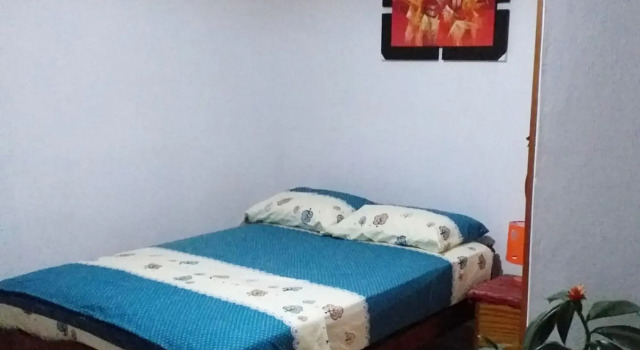 Kitara House Backpackers Hostel, Book Hostel / Vandrerhjem Hostels i Tarapoto, Hostel / Vandrerhjem