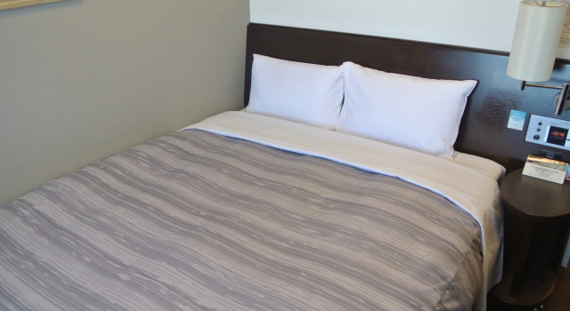 Одноместный номер Comfort Hotel Route-Inn Toyotajinnaka