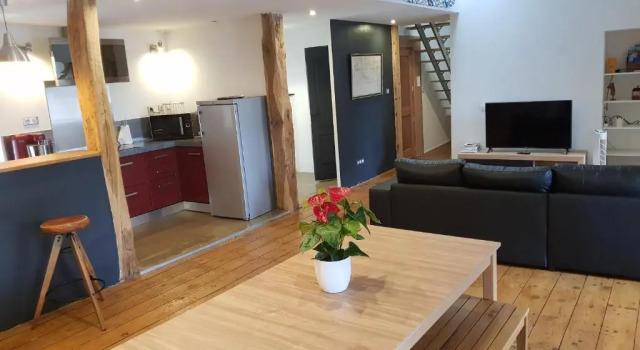 Апартаменты Loft dans les Pyrénées